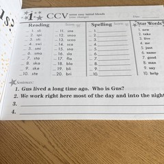 Seeing Stars Decoding Workbook Books 1, 2, & 3