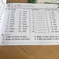 Seeing Stars Decoding Workbook Books 1, 2, & 3