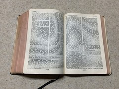 OXFORD ANNOTATED BIBLE RSV Revised Standard Version LEATHER 1962 Old & New Test